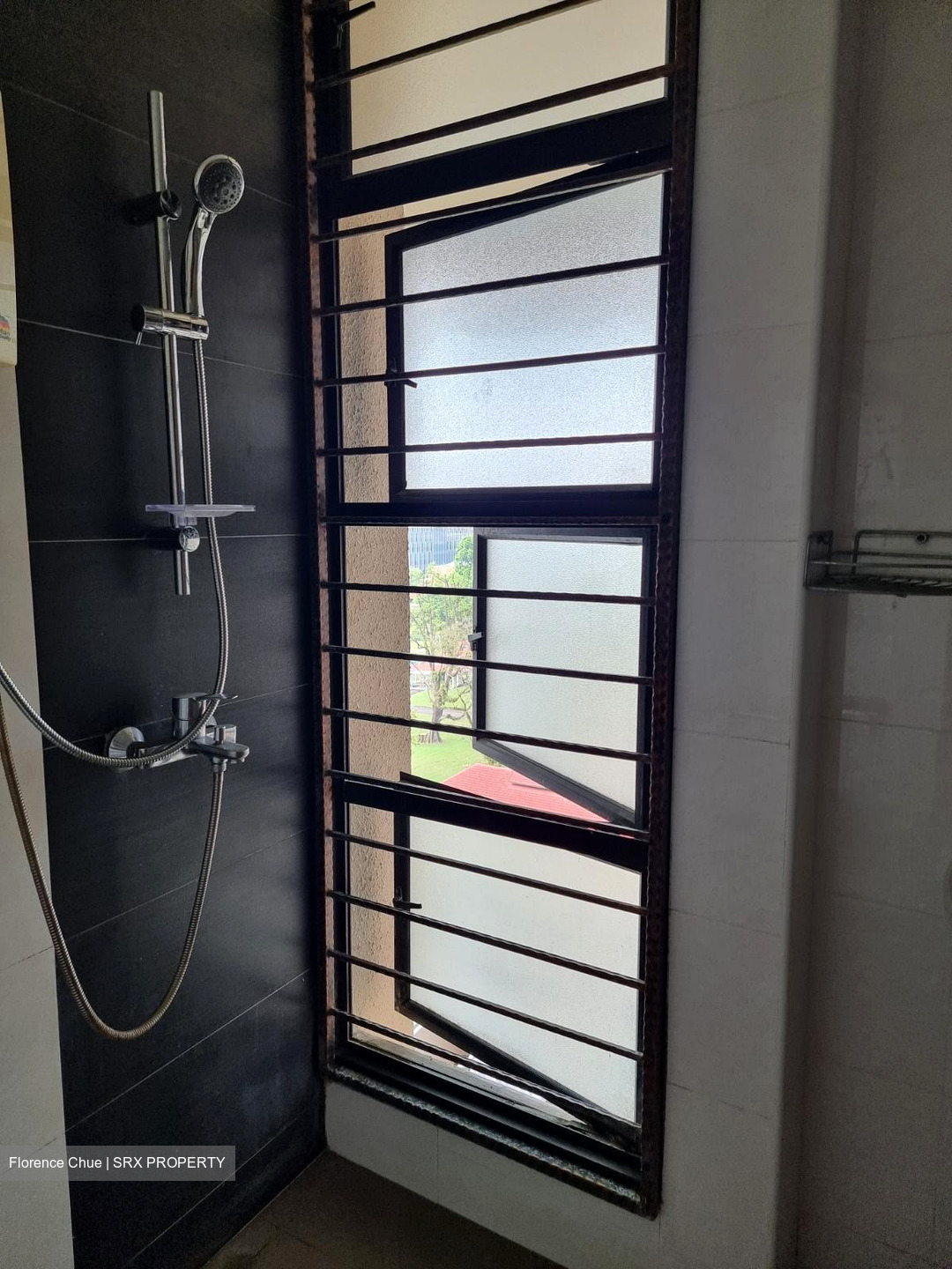 Balestier Point (D12), Apartment #423884461